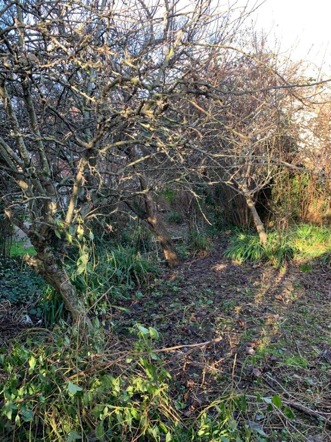 Walcott Villa Hereford Buitenkant foto